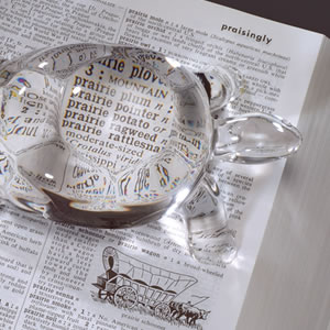 Eschenbach Art of Optics Schildpad