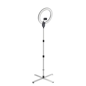 Daylight Aura Ring vloerlamp