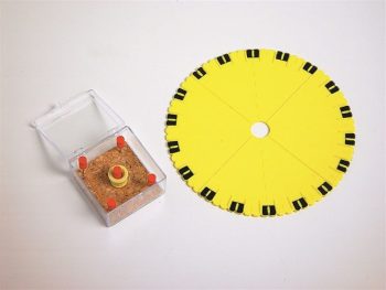 Tactiele gradenboog 180 en 360 graden - Afbeelding 2