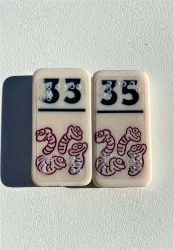 Regenwormen braille - Afbeelding 2