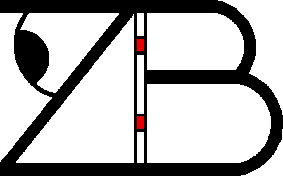 Logo Zichtbaar Veldhoven